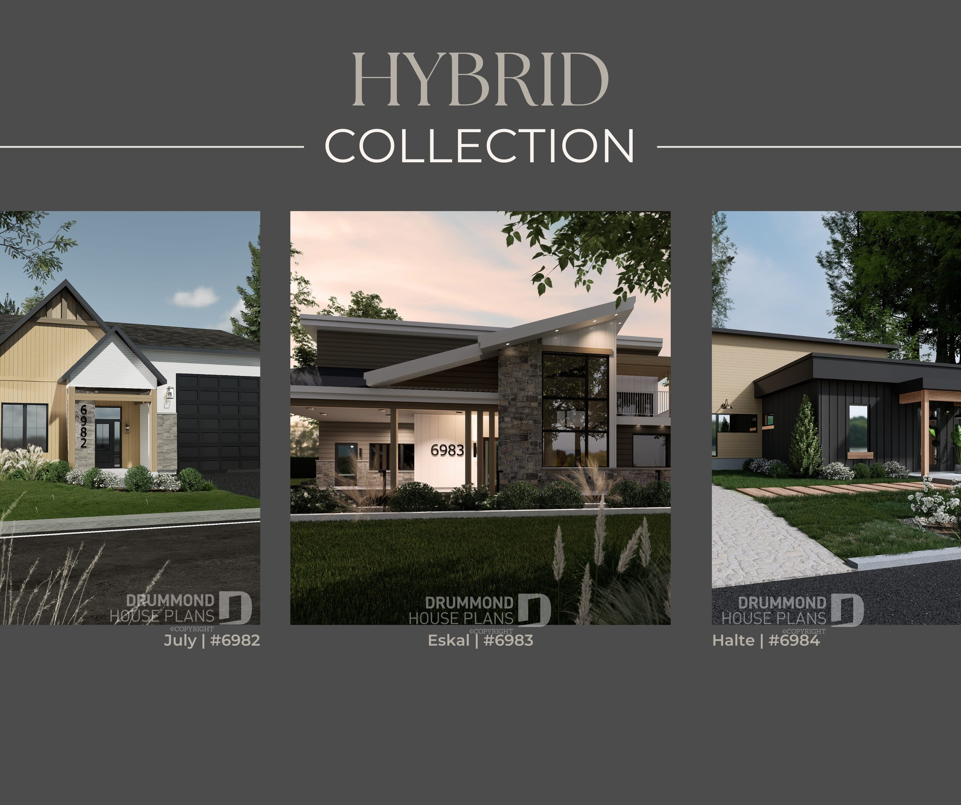 1 - Hybrid collection