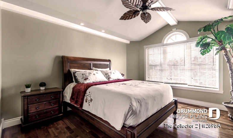 Photo Master suite - The Collector 2