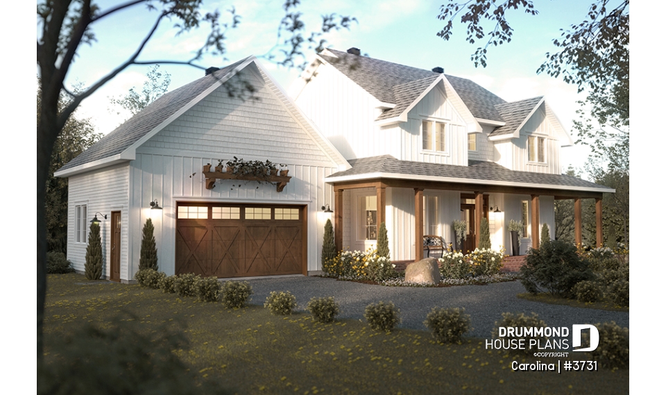 alternate - Carolina