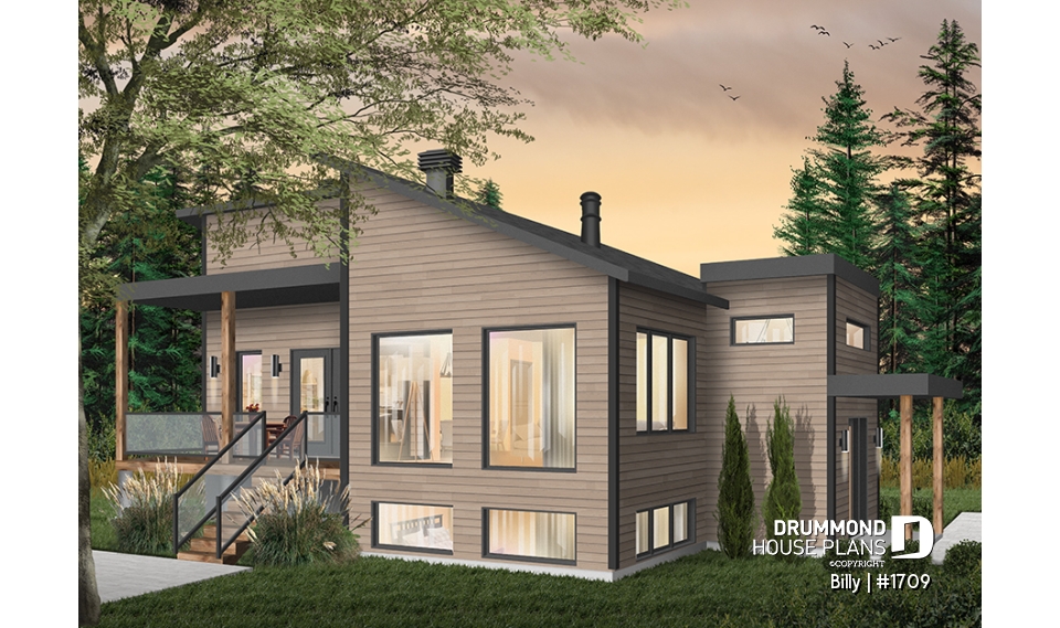 Color version 1 - Left - Billy