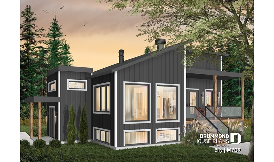 Color version 4 - Left - Billy