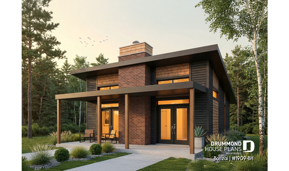 Color version 1 - Front - Bonzai