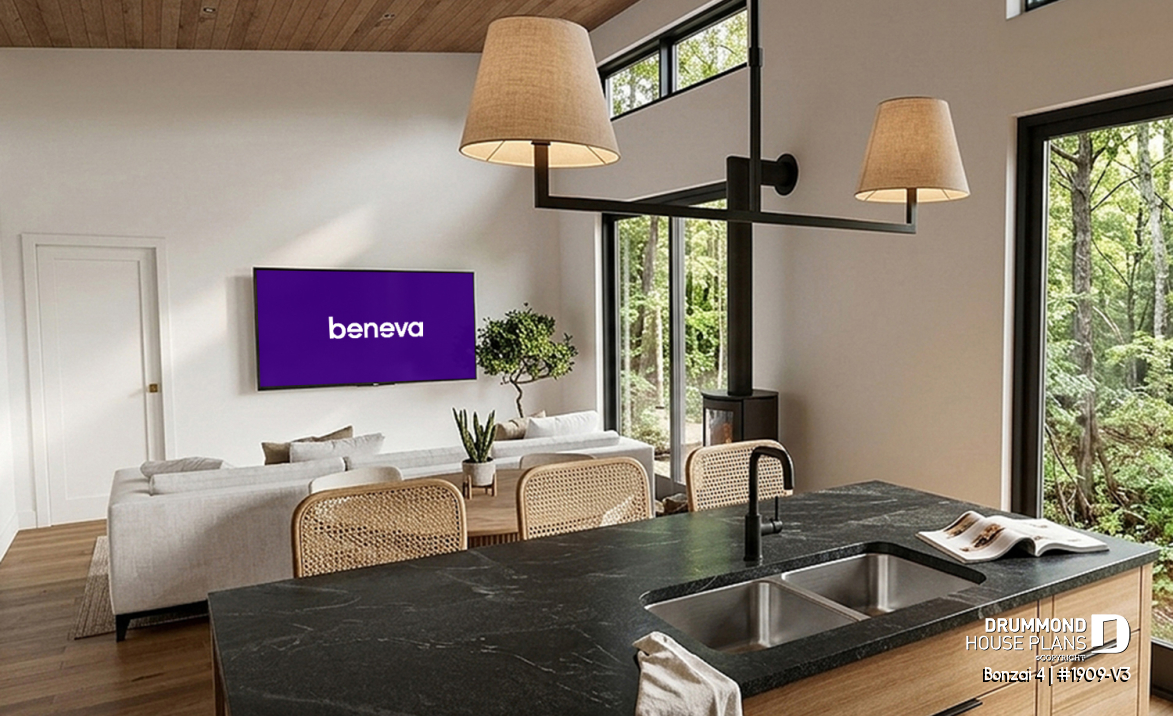 interior view - Bonzai 4