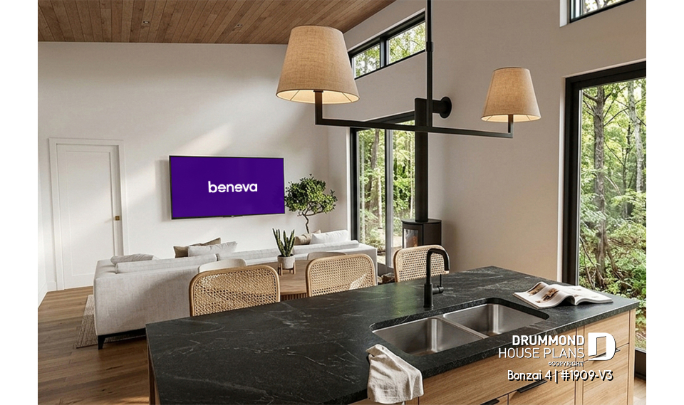 interior view - Bonzai 4