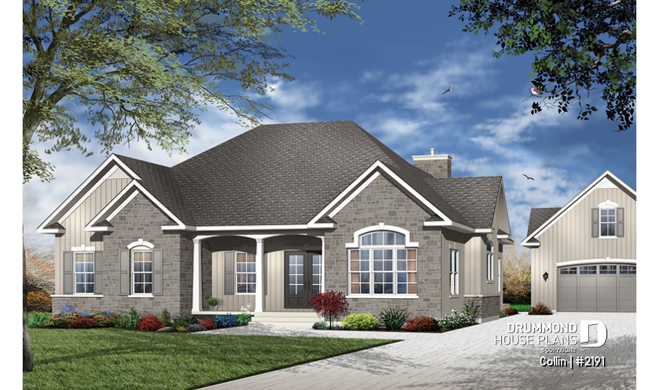 Color version 3 - Front - Collin