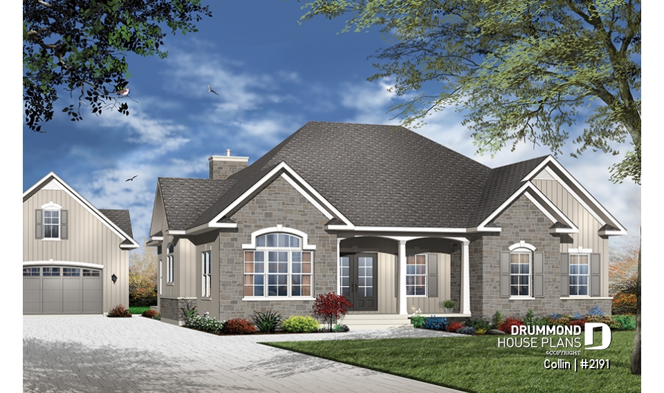 Color version 3 - Front - Collin