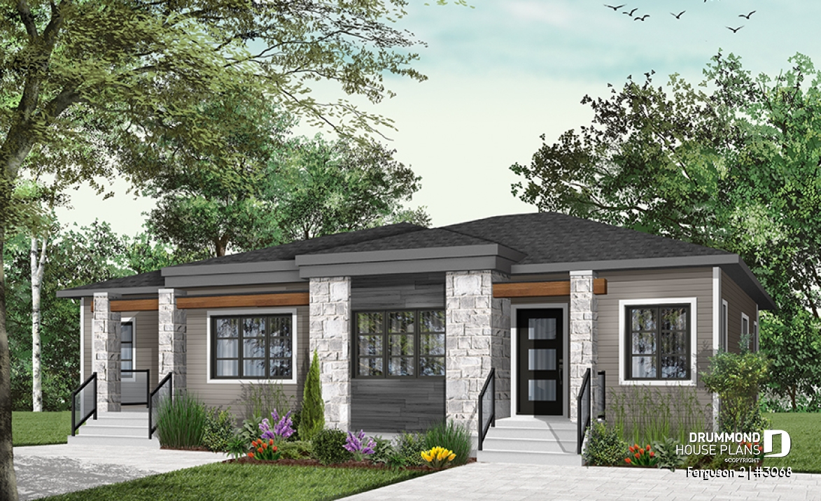 Color version 5 - Front - Ferguson 2