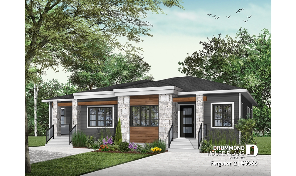 Color version 6 - Front - Ferguson 2