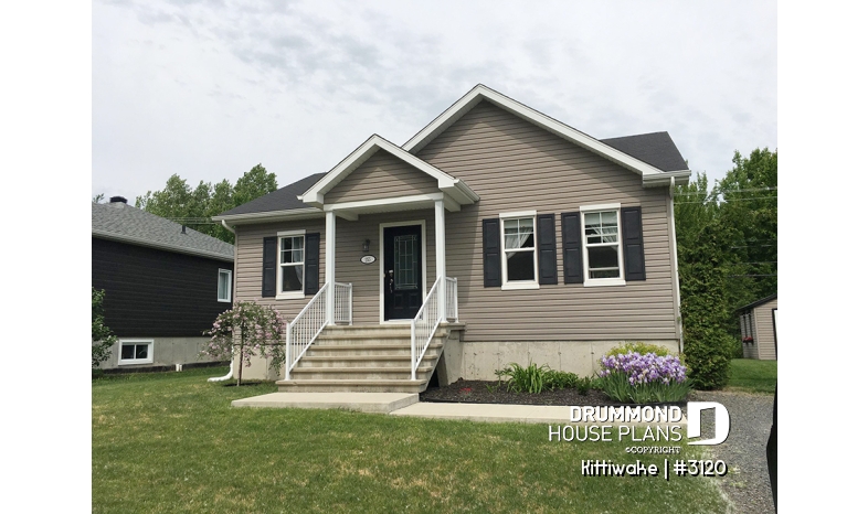 Photo front - Kittiwake