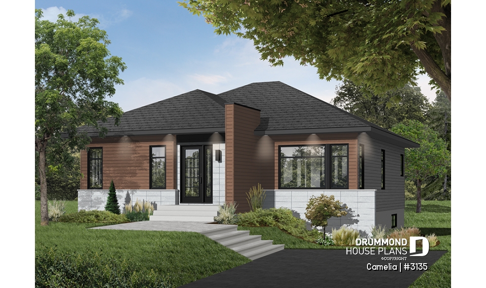 Color version 1 - Front - Camelia