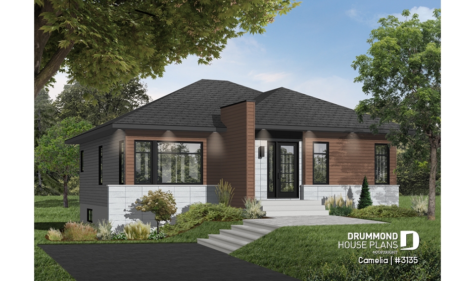 Color version 1 - Front - Camelia