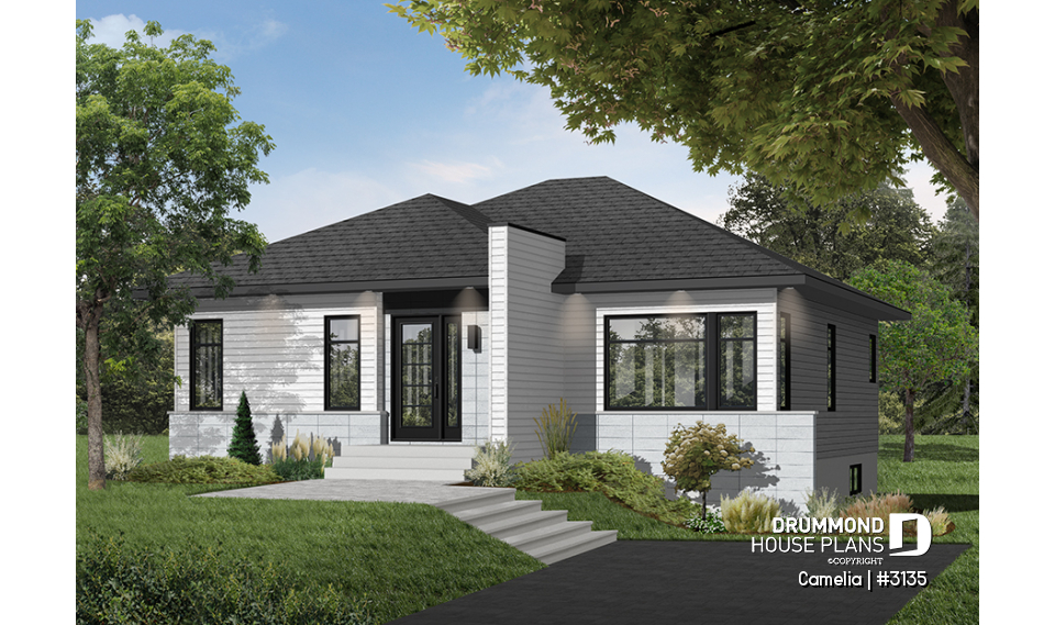 Color version 2 - Front - Camelia