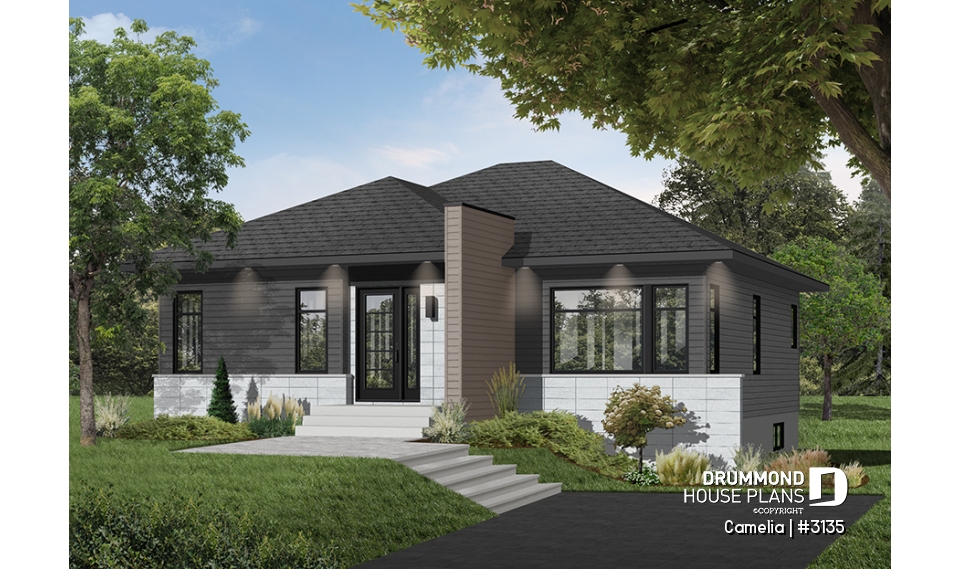 Color version 2 - Front - Camelia