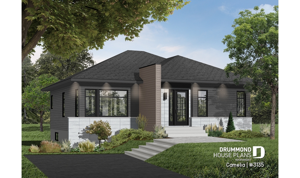 Color version 2 - Front - Camelia