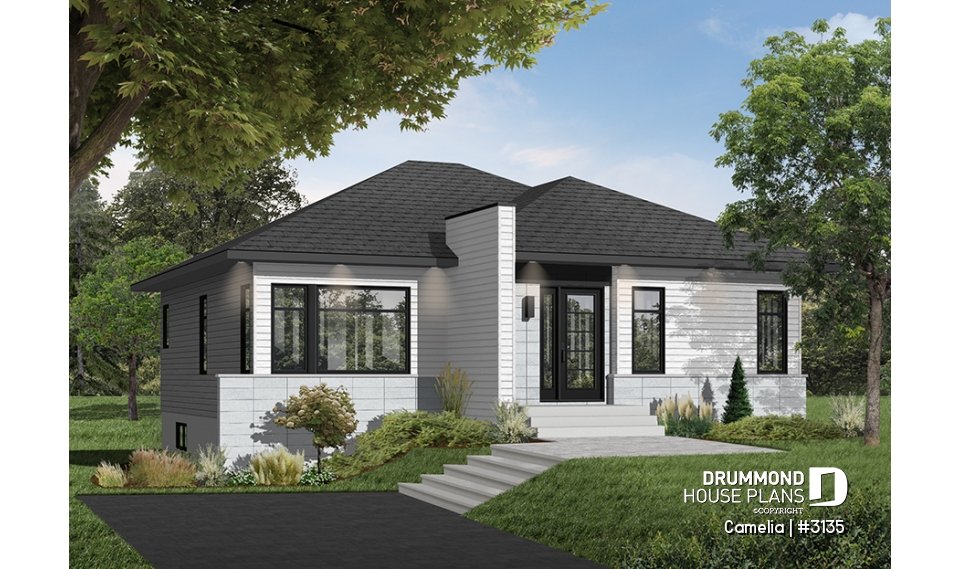 Color version 3 - Front - Camelia