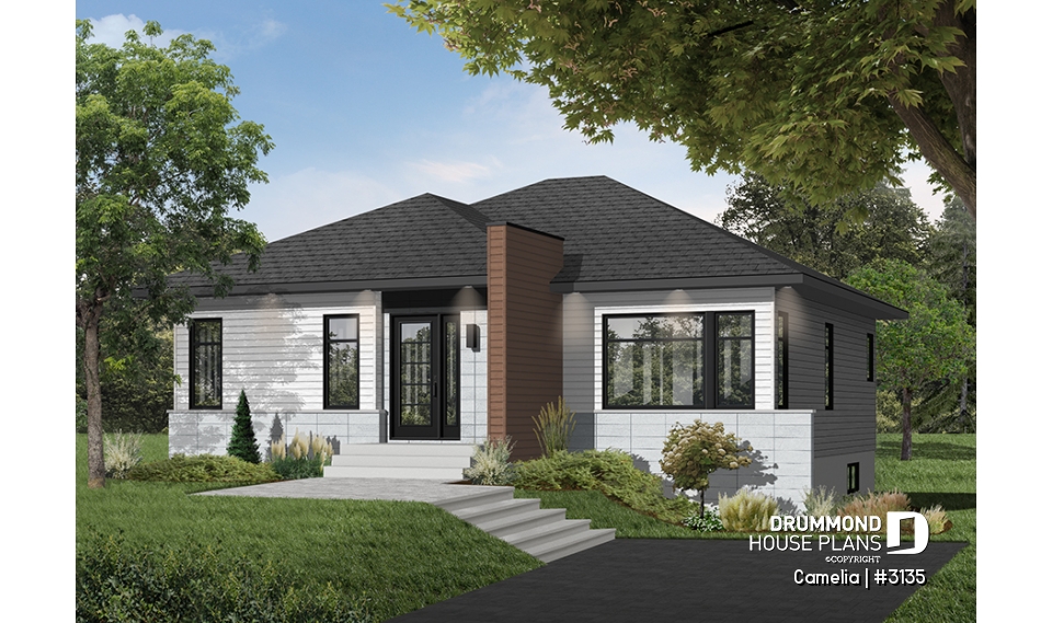 Color version 4 - Front - Camelia