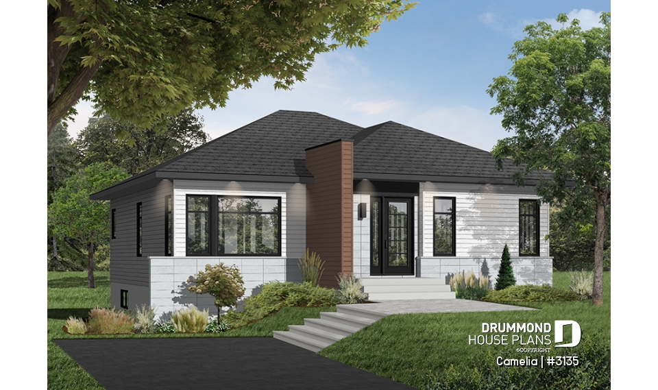 Color version 4 - Front - Camelia