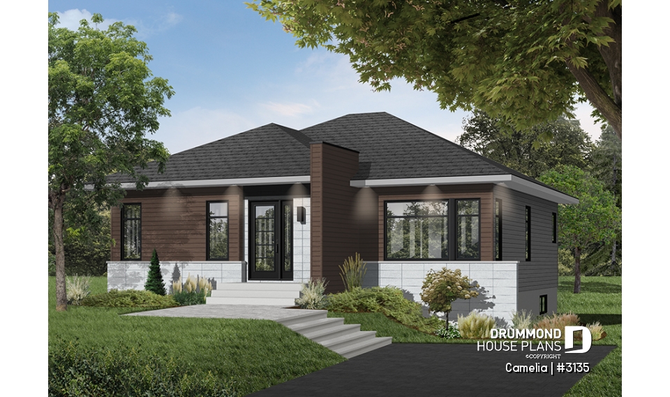 Color version 5 - Front - Camelia