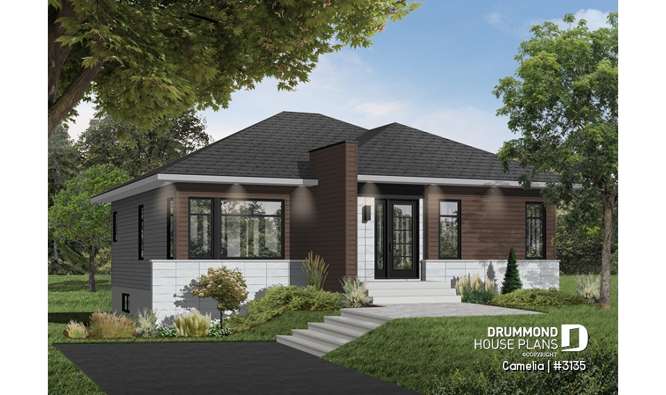 Color version 5 - Front - Camelia