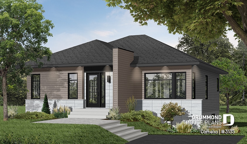 Color version 6 - Front - Abundantly fenestrated, two bedroom modern house plan with open floor plan concept and lots of natural lights - Camelia