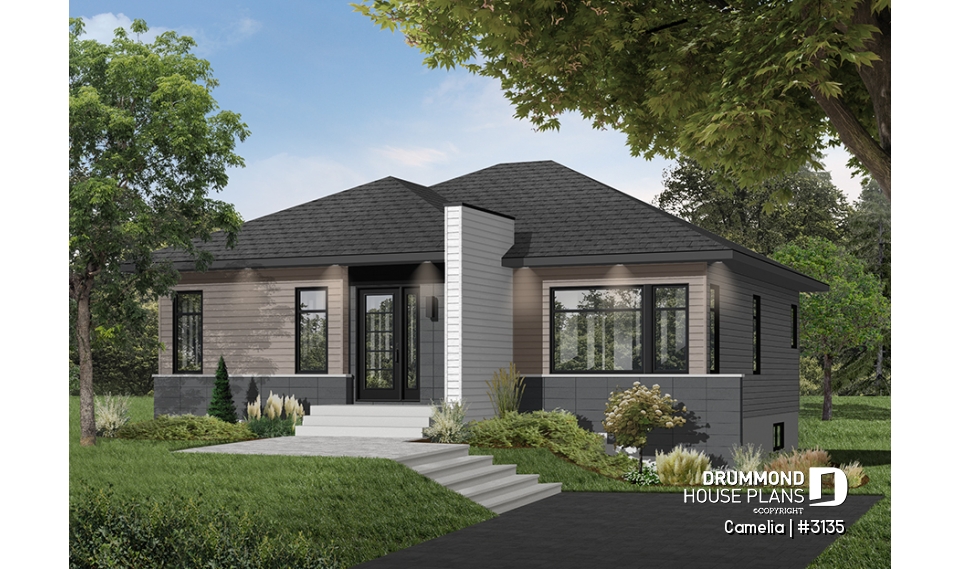 Color version 7 - Front - Camelia