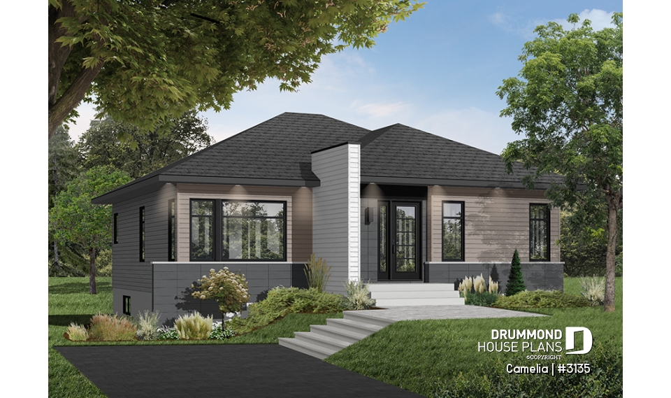 Color version 7 - Front - Camelia