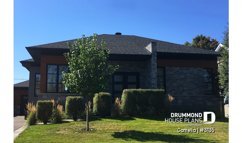 Photo front - Camelia