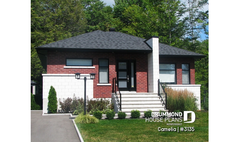 Photo front - Camelia