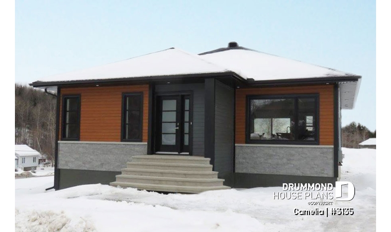 Photo front - Camelia