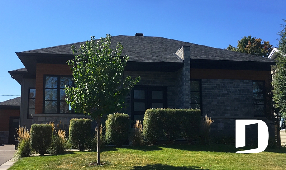 Photo front - Camelia