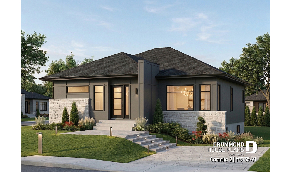 Color version 1 - Front - Camelia 2