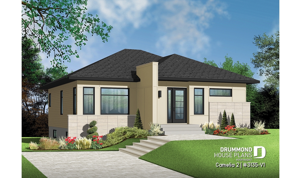 front - BASE MODEL - Camelia 2