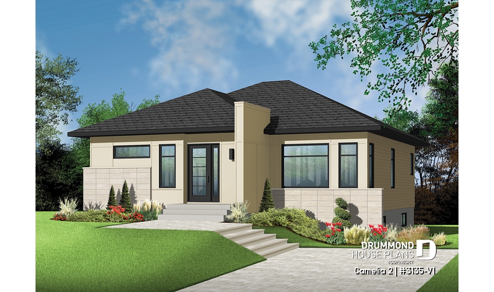 front - BASE MODEL - Camelia 2