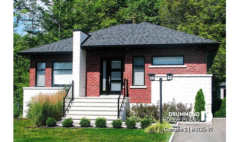 Photo front - Camelia 2