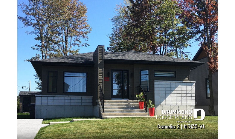 Photo front - Camelia 2