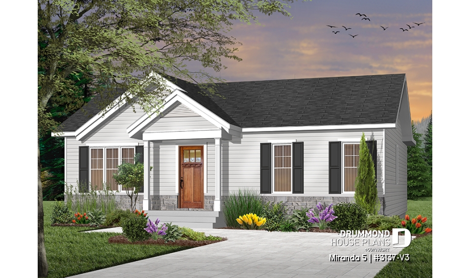 Color version 1 - Front - Miranda 5