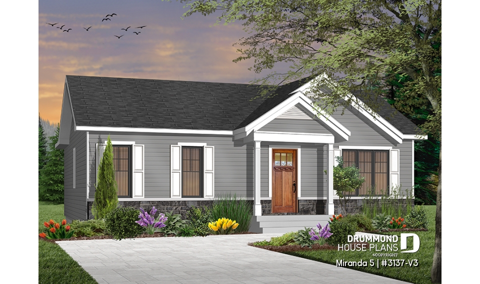 Color version 3 - Front - Miranda 5