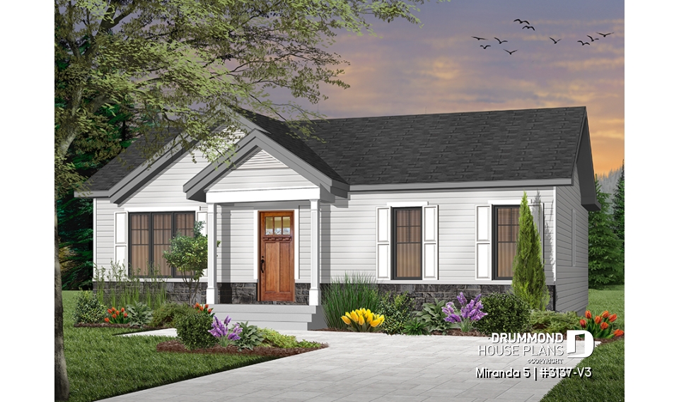 Color version 4 - Front - Miranda 5