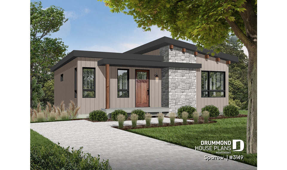 Color version 2 - Front - Sparrow 