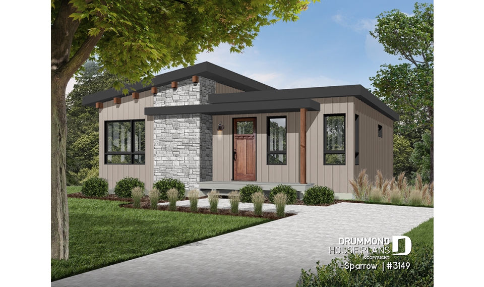 Color version 2 - Front - Sparrow 