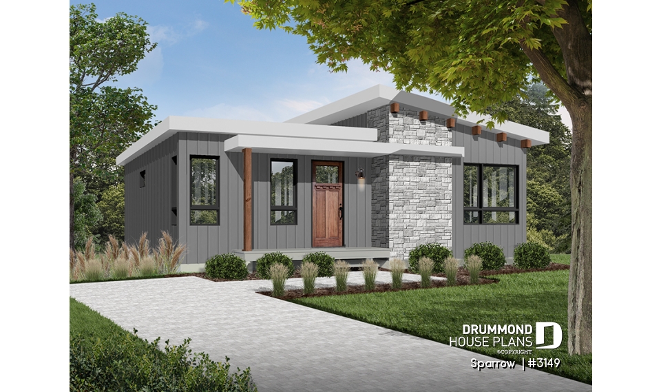 Color version 3 - Front - Sparrow 