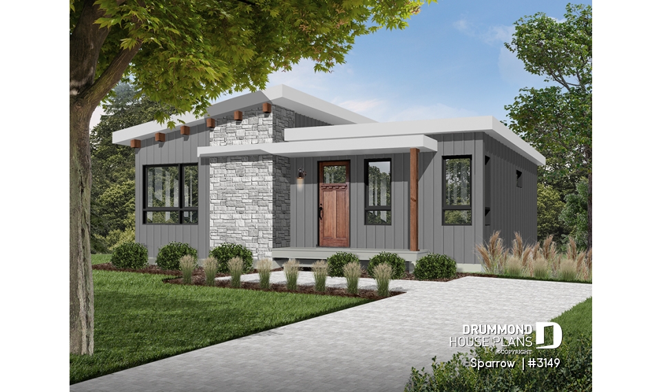 Color version 3 - Front - Sparrow 