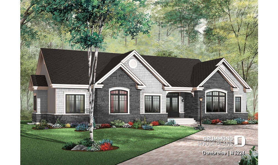 Color version 5 - Front - Dambroise