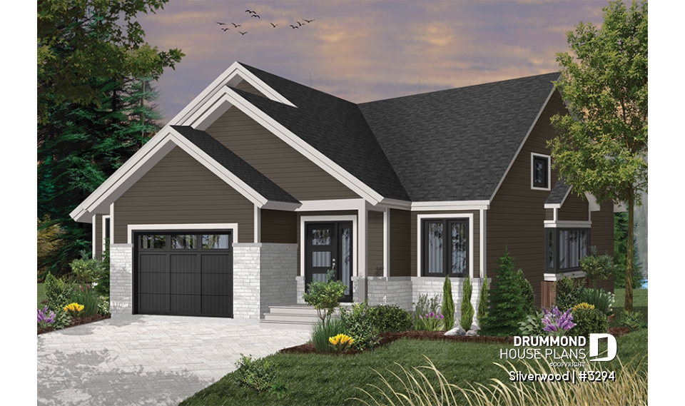 Color version 6 - Front - Silverwood