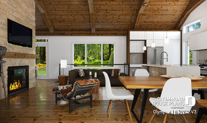 Photo Great / Family room - Olympe 4