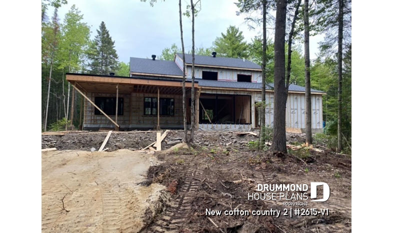 Photo back - New cotton country 2