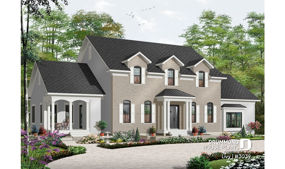 Color version 1 - Front - Livy