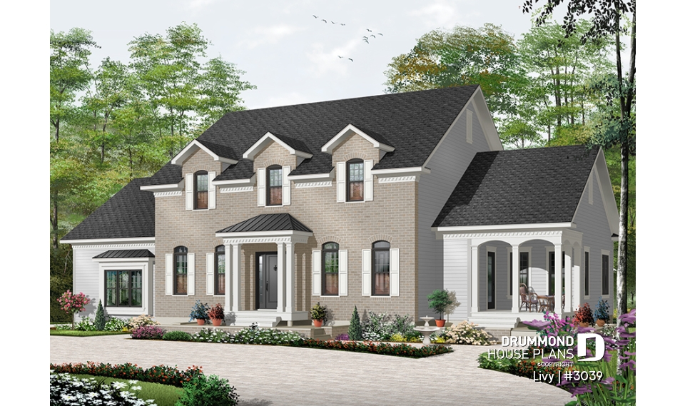 Color version 1 - Front - Livy