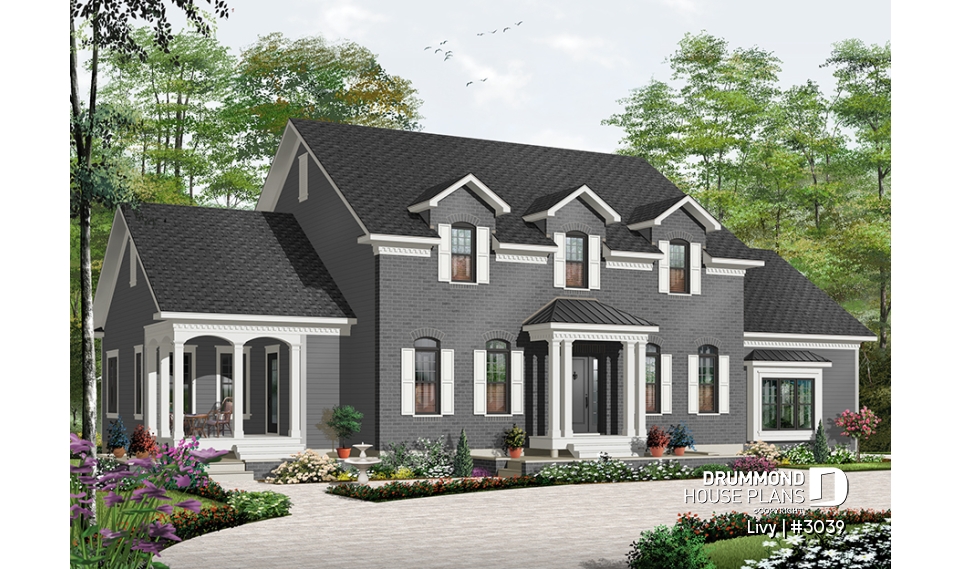 Color version 3 - Front - Livy