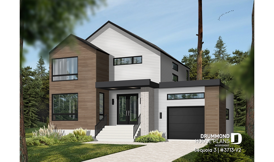 Color version 1 - Front - Sequoia 3